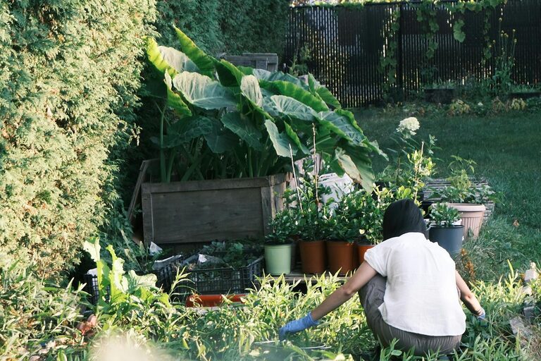 Tips for Creating a Sustainable Home Garden Throughout the Year